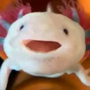 axeladon