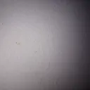 lastbontheleft