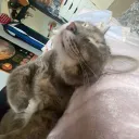 sqkina