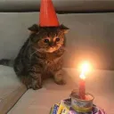 hiaubrey
