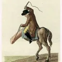 dabt8941