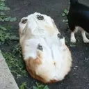 skippy0700