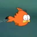 cruciverberella
