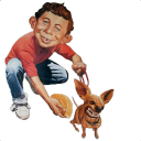 avatar CMaster (American)