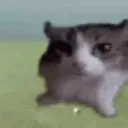 rowdyat