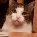 daliuum discord avatar