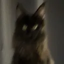 daebb