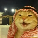 faaaaaaaaaaar avatar