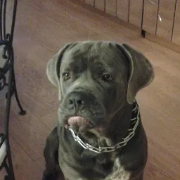 Just Jordan's Avatar