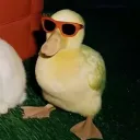 itsnav