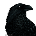 avatar Migrating soon, see profile