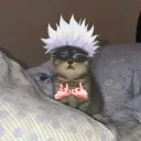 wsprophetmb