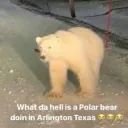 angelsplayer27