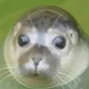 wuatauw