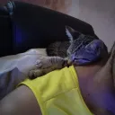 bksbinho