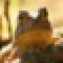 .vlev