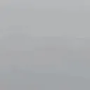 pedxz