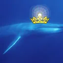 bluewhaleking