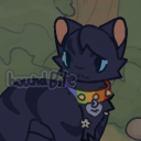 avatar 🙦 𝖗𝖚𝖗𝖋 🙤