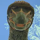 nealerr