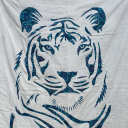 Tigeraura