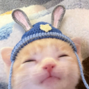 avatar sᴄʜɴᴀᴘᴘɪ