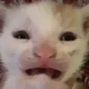 devaztator