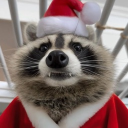 avatar ˗ˏˋ 🎄elf ᴜɪ🎄ˎˊ˗