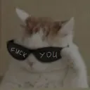 mu_dj