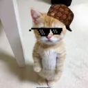 justjonce