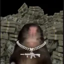 solanamonkey