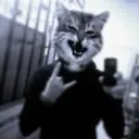 onander