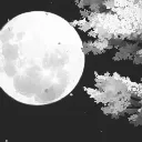 jota_.777
