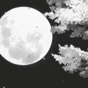 jota_.777