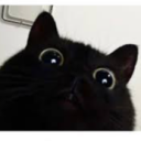 giig_giig#3646's avatar