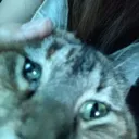 smolstyle