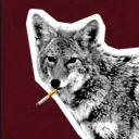 familiar_coyote