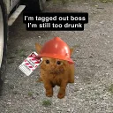 boxwine's Avatar