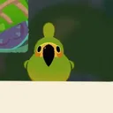 tippicojj