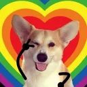 cosplaycorgi