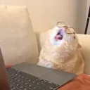 hiki_hxe1n