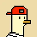 acekro