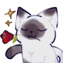 16_avatar.png
