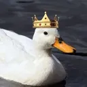 flyingduckperson