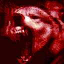 .volchara