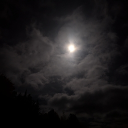 avatar Redbull Gives You Wings