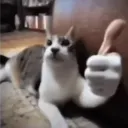 frawgis