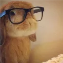 bitcoinfiend
