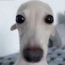 toonix_