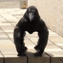 pfp